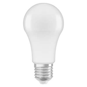 Matná LED žárovka E27 13 W CLASSIC studená bílá