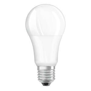 Matná LED žárovka E27 13 W teplá bílá
