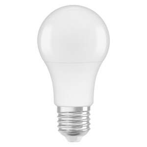 Matná LED žárovka E27 8,5 W studená bílá